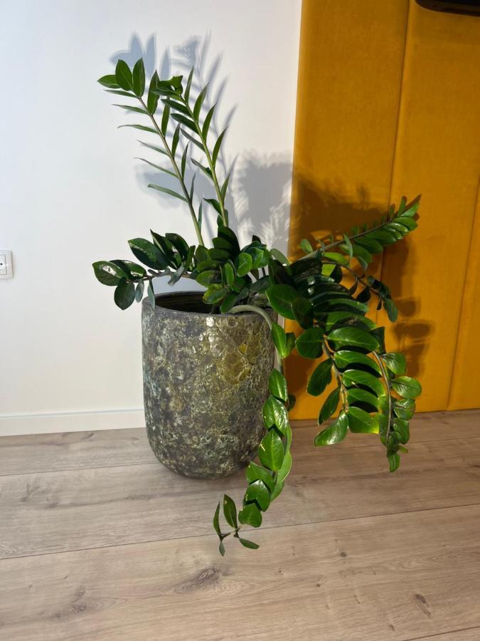 Sofia Apartment & Zimmer Sillweg Naehe Rebull Ring Fohnsdorf Extérieur photo